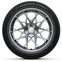 275/55/20 117H Habilead AW33