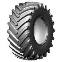 30,50/32 172A8 Belshina Ф-81