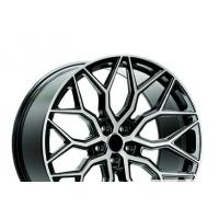 Lizardo XH1024 ET38 67.1 BFP