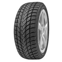 155/65/14 75T Delinte Winter WD6
