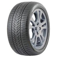 295/40/21 111H ROADMARCH WINTERXPRO 999